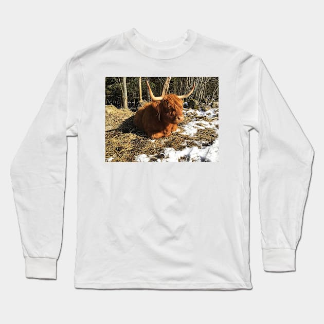 Scottish Highland Cattle Cow 2343 Long Sleeve T-Shirt by SaarelaHighland